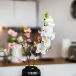 Appartamento Ruhiges Und Modernes Zuhause *