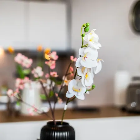 Apartament Ruhiges Und Modernes Zuhause *