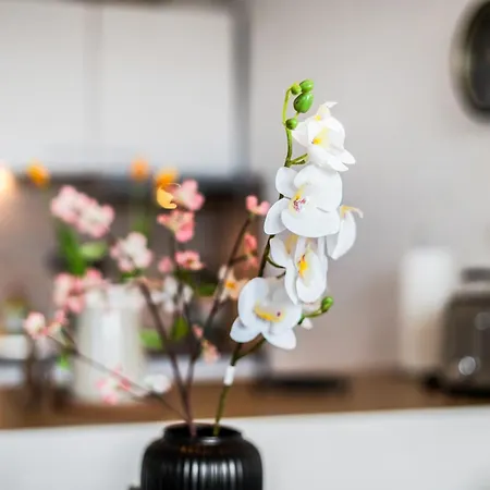 アパート Ruhiges Und Modernes Zuhause