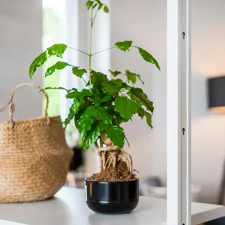 Apartament Ruhiges Und Modernes Zuhause