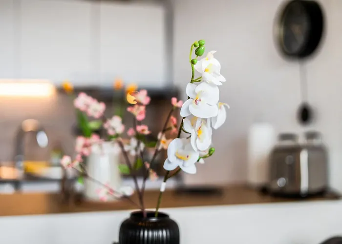 Appartement Ruhiges Und Modernes Zuhause *