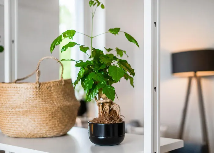 Ruhiges Und Modernes Zuhause Appartement